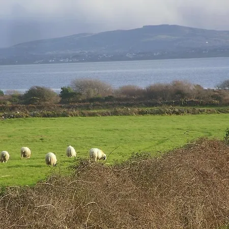 Foleysbarinch