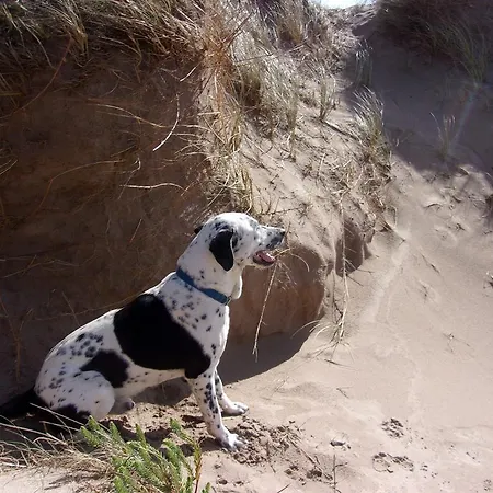 Gasthof Foleysbarinch