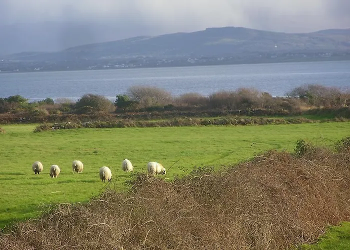 Foleysbarinch