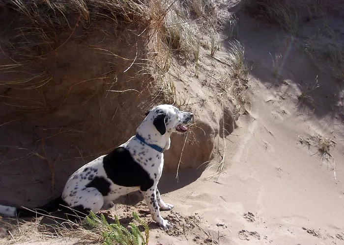 게스트하우스 Foleysbarinch